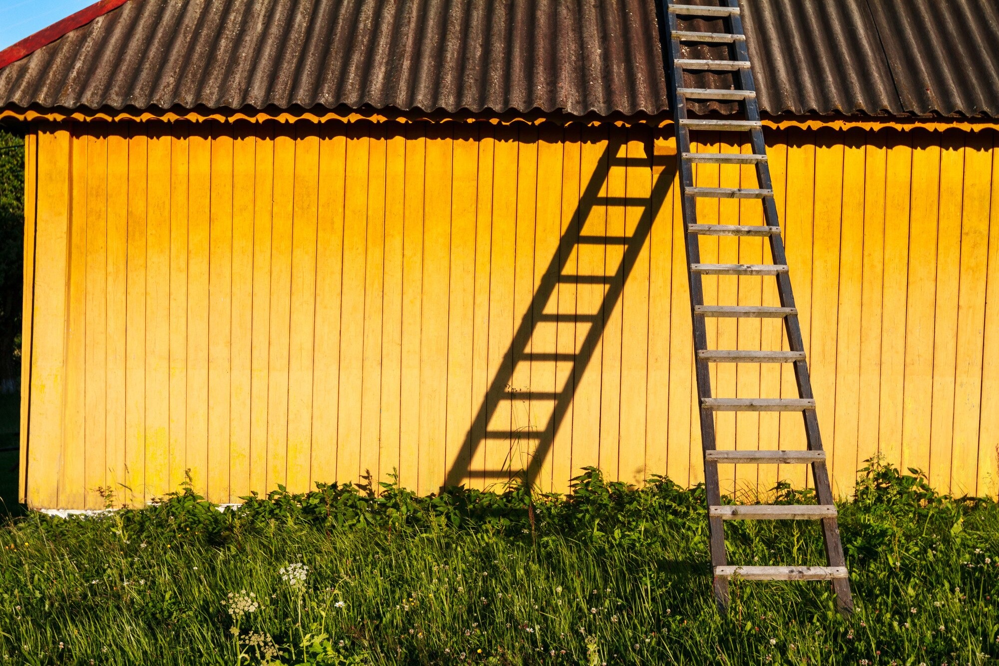 imageye___-_imgi_18_cute-yellow-rural-house-with-wooden-stairs-countryside_176420-7158 imageye___-_imgi_18_cute-yellow-rural-house-with-wooden-stairs-countryside_176420-7158